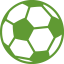 custom-icon